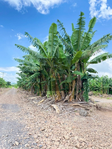 ÁREA DE 8,7 HECTARES PARA PLANTIO: 9ª foto da galeria de imagens do imóvel