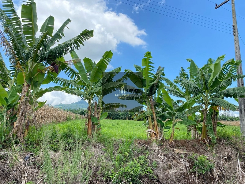 ÁREA DE 8,7 HECTARES PARA PLANTIO: 1ª foto da galeria de imagens do imóvel