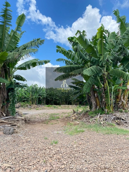 ÁREA DE 8,7 HECTARES PARA PLANTIO: 11ª foto da galeria de imagens do imóvel