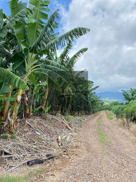 ÁREA DE 8,7 HECTARES PARA PLANTIO: 8ª foto da galeria de imagens do imóvel