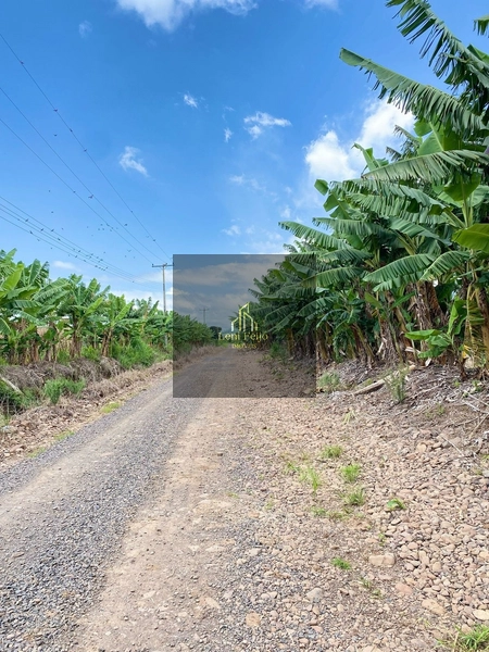 ÁREA DE 8,7 HECTARES PARA PLANTIO: 10ª foto da galeria de imagens do imóvel