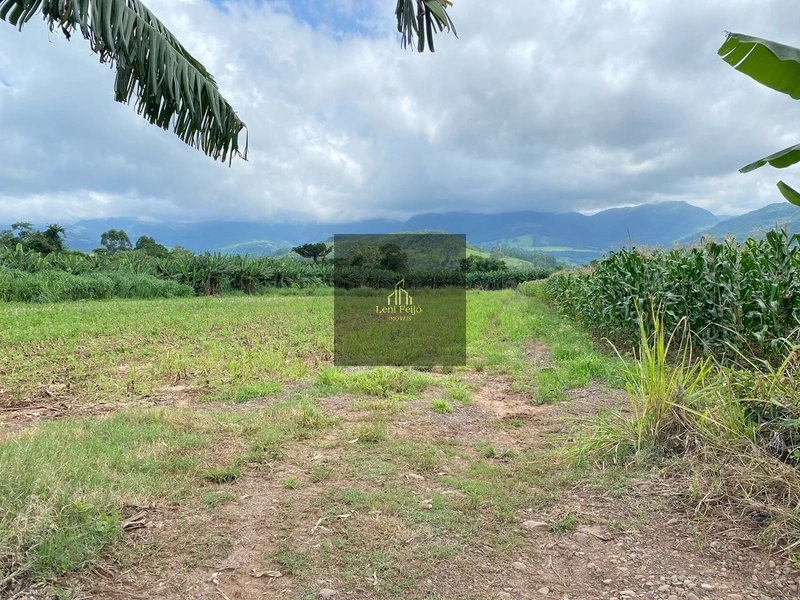 ÁREA DE 8,7 HECTARES PARA PLANTIO: 13ª foto da galeria de imagens do imóvel