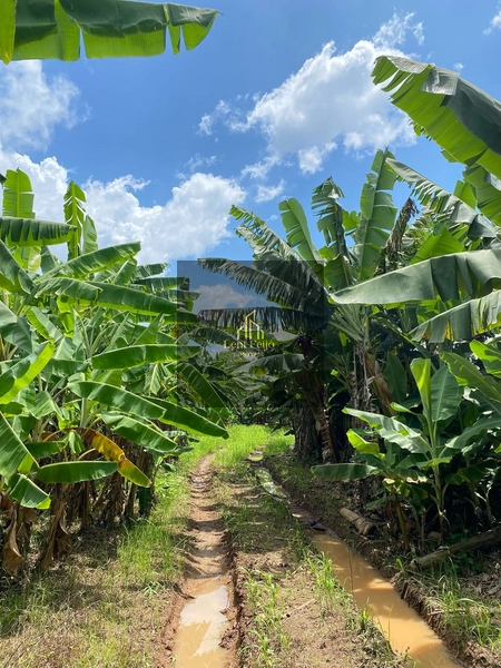 ÁREA DE 8,7 HECTARES PARA PLANTIO: 4ª foto da galeria de imagens do imóvel