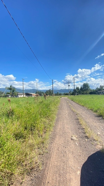 Terreno: 3ª foto da galeria de imagens do imóvel
