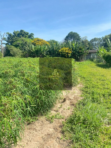 LOTES NO CENTRO DE TERRA DE AREIA: 2ª foto da galeria de imagens do imóvel