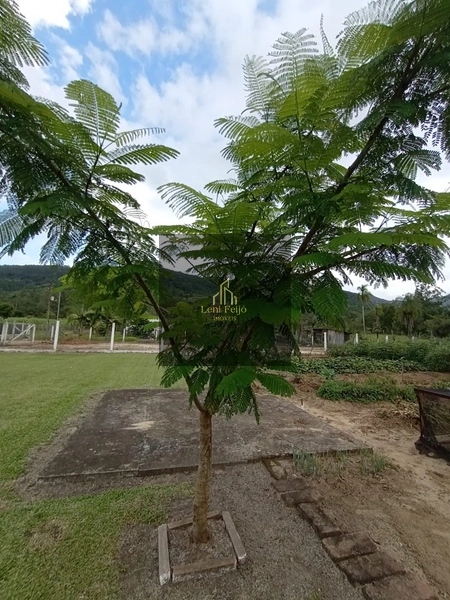 EXCELENTE CASA SÍTIO ITATI: 22ª foto da galeria de imagens do imóvel