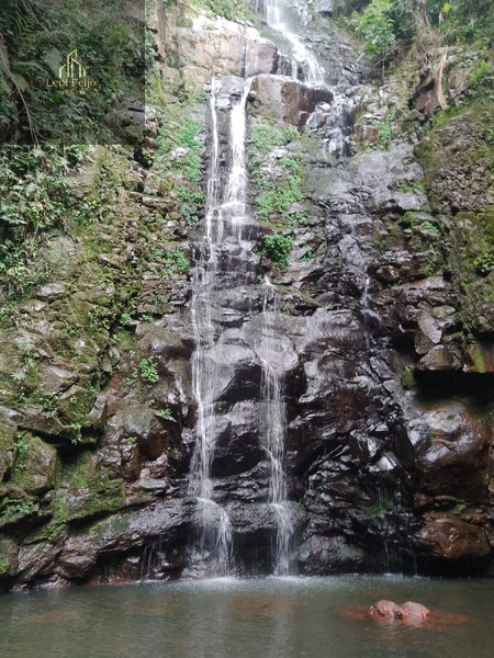 CHÁCARA RECANTO DA CACHOEIRA: 14ª foto da galeria de imagens do imóvel
