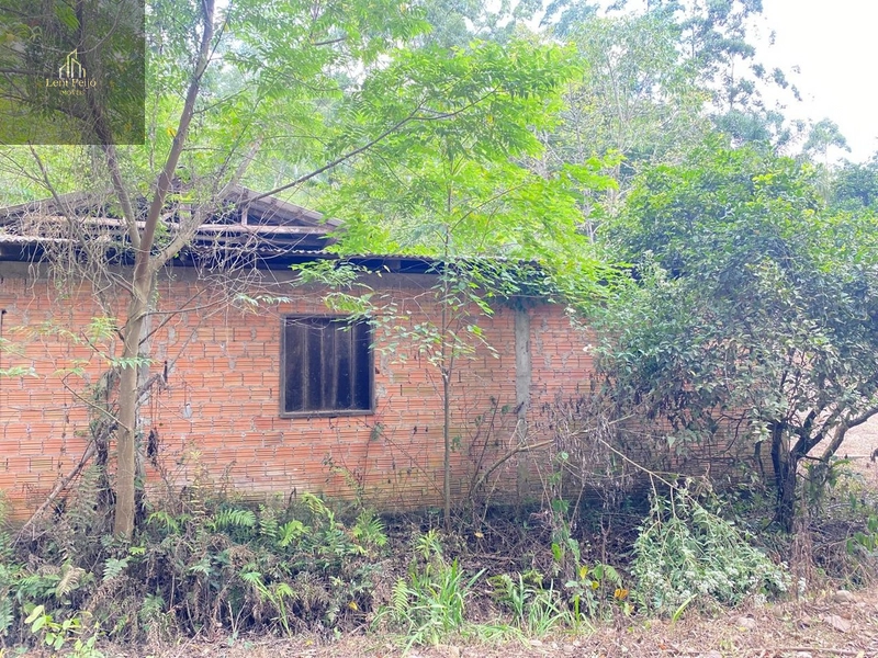CHÁCARA EM TRÊS FORQUILHAS: 4ª foto da galeria de imagens do imóvel