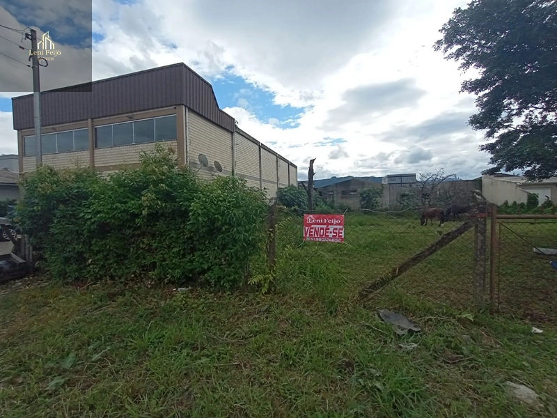 EXCELENTES LOTES NO CENTRO DE TERRA DE AREIA: 1ª foto da galeria de imagens do imóvel