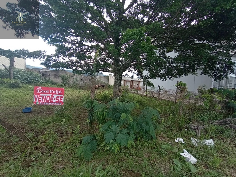 EXCELENTES LOTES NO CENTRO DE TERRA DE AREIA: 2ª foto da galeria de imagens do imóvel