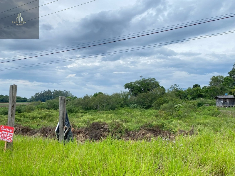ÁREA PARA NEGÓCIOS JUNTO A RODOVIA: 5ª foto da galeria de imagens do imóvel