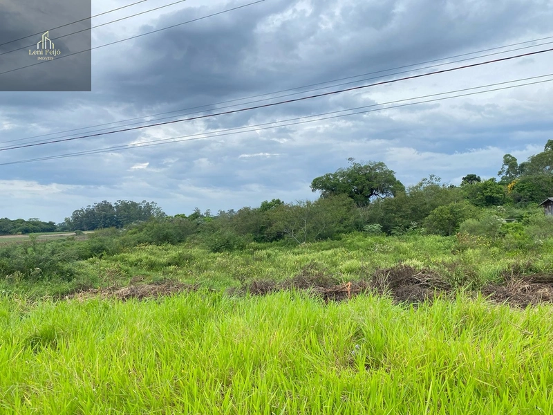 ÁREA PARA NEGÓCIOS JUNTO A RODOVIA: 2ª foto da galeria de imagens do imóvel