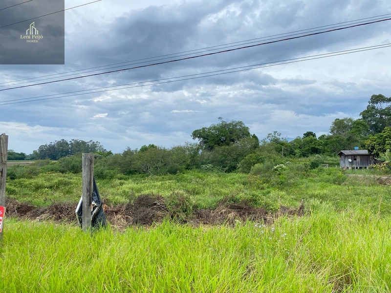 ÁREA PARA NEGÓCIOS JUNTO A RODOVIA: 4ª foto da galeria de imagens do imóvel