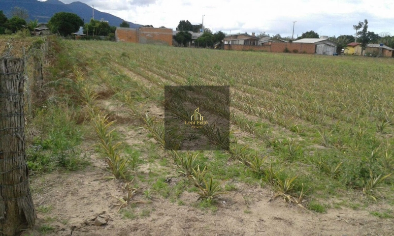 ÁREA DE TERRAS 1 HECTARE: 3ª foto da galeria de imagens do imóvel