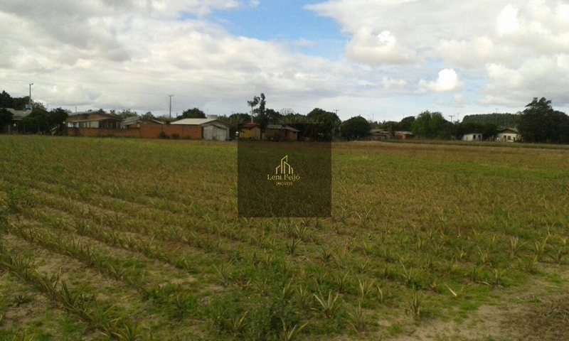 ÁREA DE TERRAS 1 HECTARE: 2ª foto da galeria de imagens do imóvel