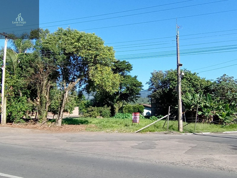 ÁREA COMERCIAL CENTRO TERRA DE AREIA: 7ª foto da galeria de imagens do imóvel