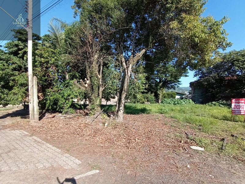 ÁREA COMERCIAL CENTRO TERRA DE AREIA: 6ª foto da galeria de imagens do imóvel