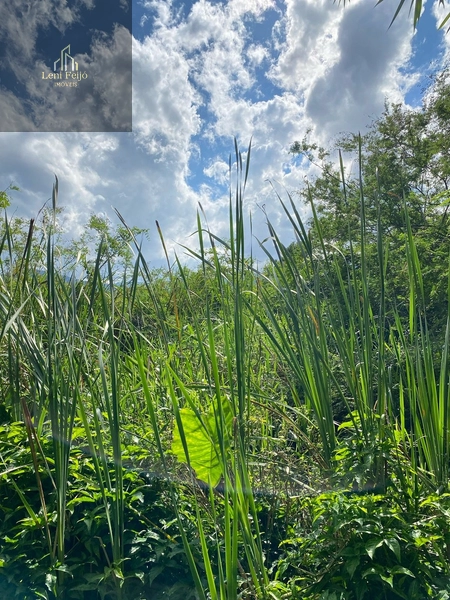 CHÁCARA RECANTO DO SOL: 11ª foto da galeria de imagens do imóvel