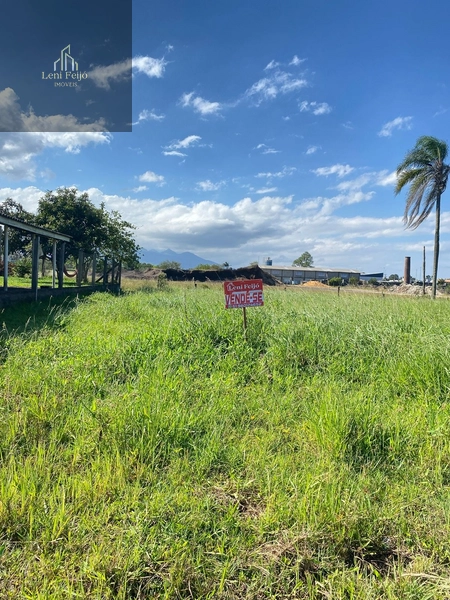 Lote na Linha Souza: 1ª foto da galeria de imagens do imóvel