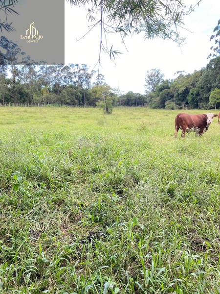 LINDA FAZENDA EM TRÊS CACHOEIRAS: 23ª foto da galeria de imagens do imóvel