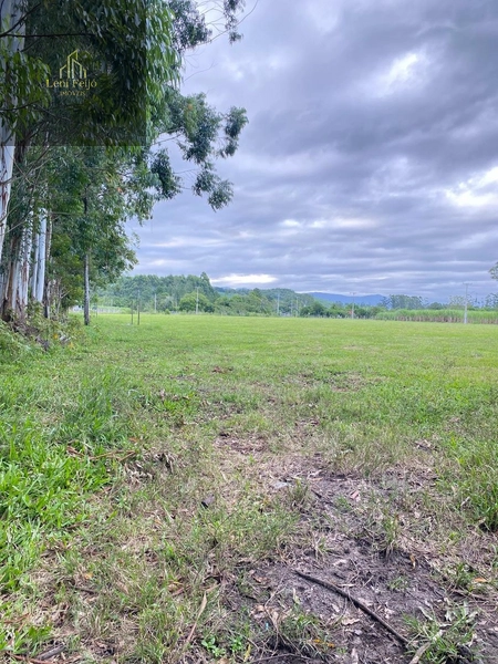 LINDA FAZENDA EM TRÊS CACHOEIRAS: 18ª foto da galeria de imagens do imóvel