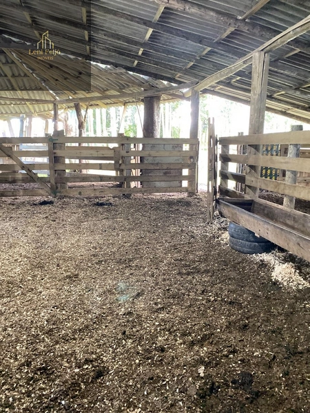 LINDA FAZENDA EM TRÊS CACHOEIRAS: 17ª foto da galeria de imagens do imóvel