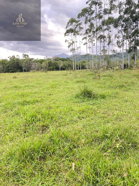 LINDA FAZENDA EM TRÊS CACHOEIRAS: 22ª foto da galeria de imagens do imóvel