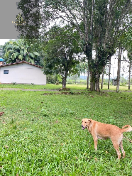 LINDA FAZENDA EM TRÊS CACHOEIRAS: 24ª foto da galeria de imagens do imóvel