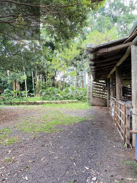 LINDA FAZENDA EM TRÊS CACHOEIRAS: 14ª foto da galeria de imagens do imóvel