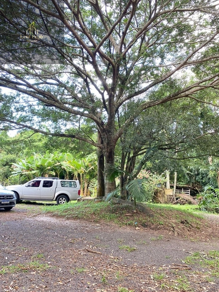 LINDA FAZENDA EM TRÊS CACHOEIRAS: 15ª foto da galeria de imagens do imóvel