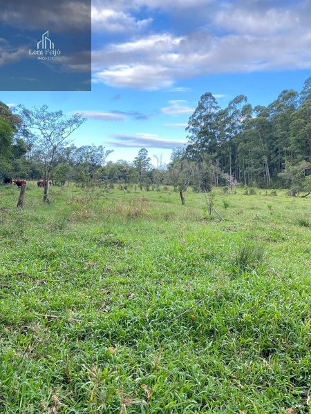 LINDA FAZENDA EM TRÊS CACHOEIRAS: 21ª foto da galeria de imagens do imóvel