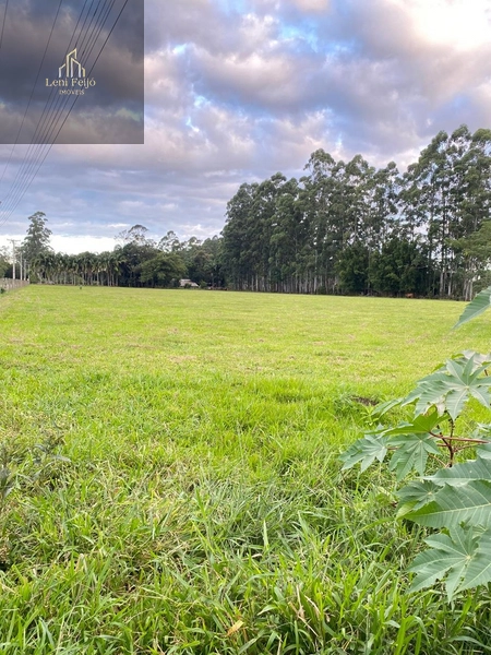 LINDA FAZENDA EM TRÊS CACHOEIRAS: 26ª foto da galeria de imagens do imóvel