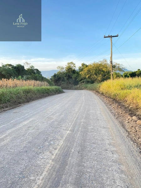 ÁREA PLANTIO TRÊS FORQUILHAS: 7ª foto da galeria de imagens do imóvel