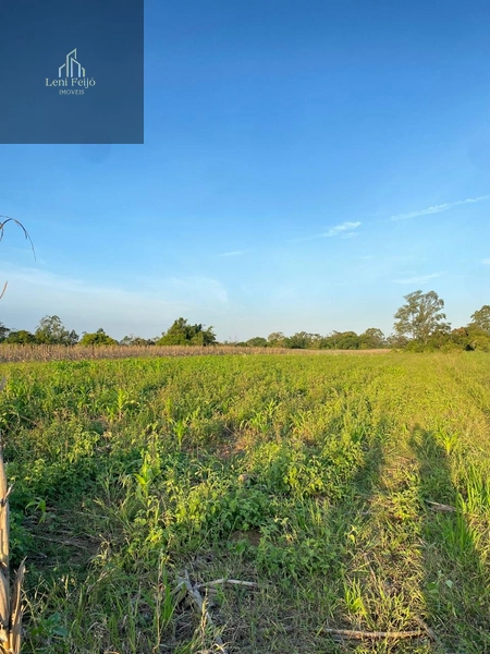 ÁREA PLANTIO TRÊS FORQUILHAS: 5ª foto da galeria de imagens do imóvel