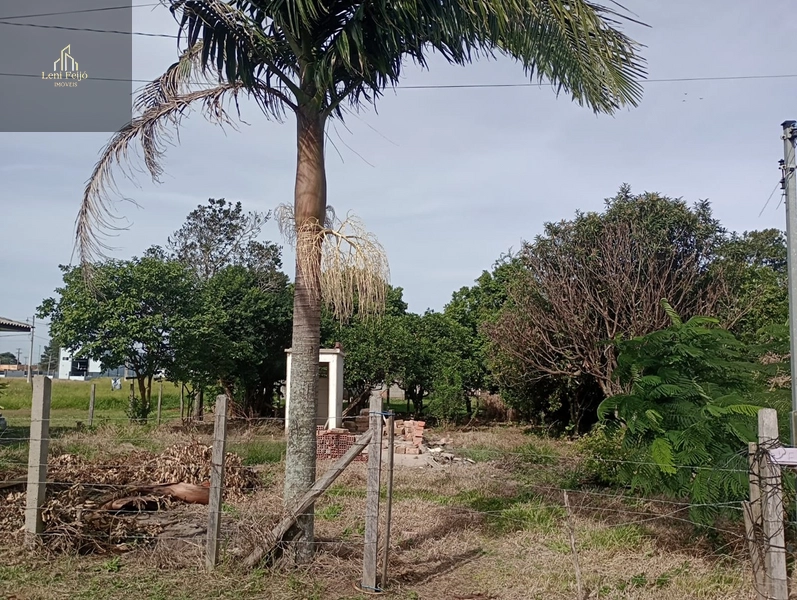 LOTE PRONTO PRA CONSTRUIR NO CENTRO DE TERRA DE AREIA: 8ª foto da galeria de imagens do imóvel