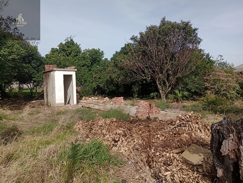 LOTE PRONTO PRA CONSTRUIR NO CENTRO DE TERRA DE AREIA: 6ª foto da galeria de imagens do imóvel