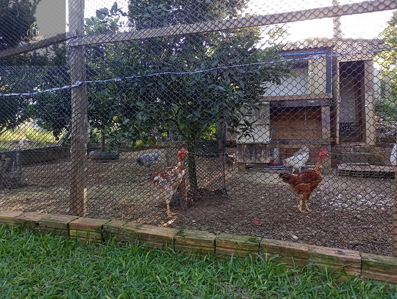 CASA EM TRÊS FORQUILHAS NO CENTRO: 21ª foto da galeria de imagens do imóvel