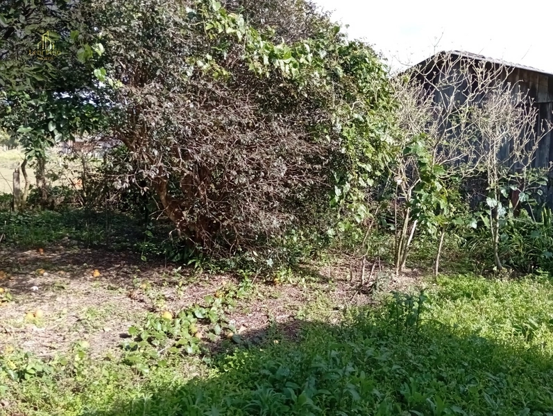 CASA NA LAURINDO PERONI: 7ª foto da galeria de imagens do imóvel