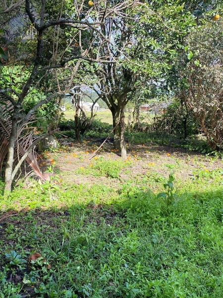 CASA NA LAURINDO PERONI: 25ª foto da galeria de imagens do imóvel