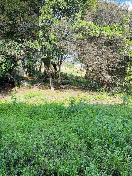 CASA NA LAURINDO PERONI: 26ª foto da galeria de imagens do imóvel