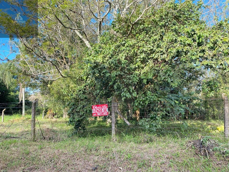 Lote No Centro: 2ª foto da galeria de imagens do imóvel