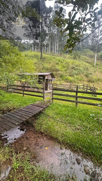 SÍTIO DO BARREIRO: 18ª foto da galeria de imagens do imóvel