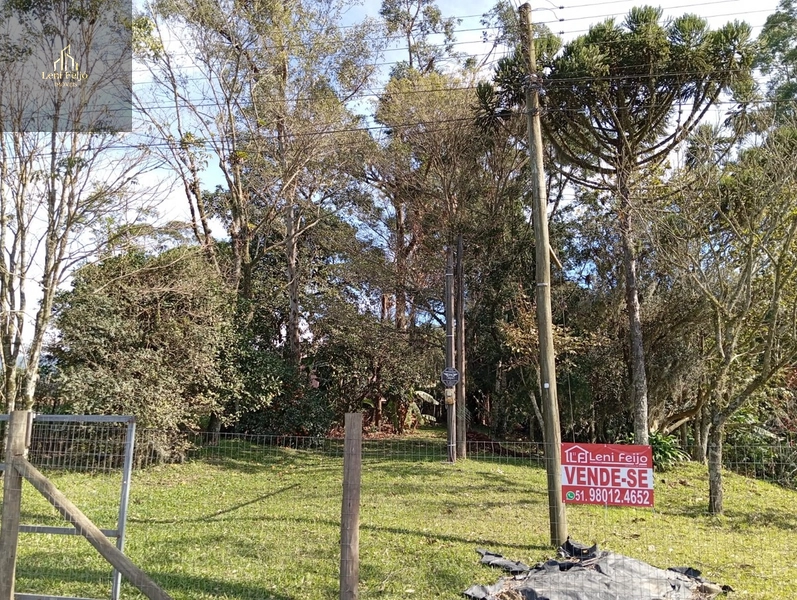 CHÁCARA BELLA VISTA: 4ª foto da galeria de imagens do imóvel