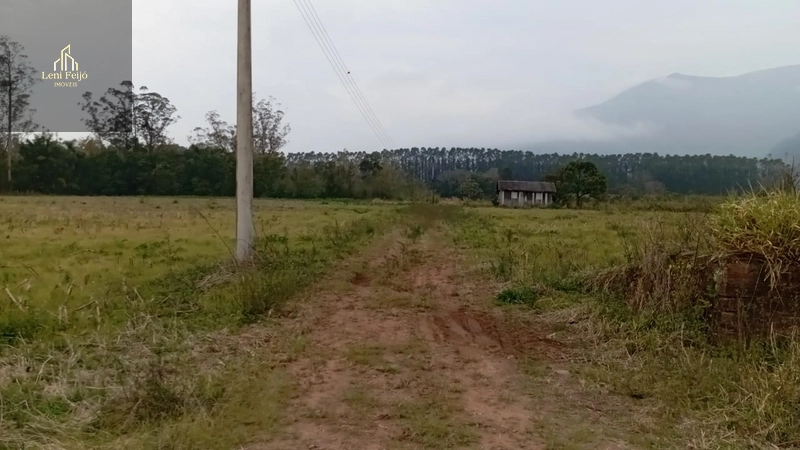 ÁREA PRODUTIVA DE 13 HECTARES: 7ª foto da galeria de imagens do imóvel