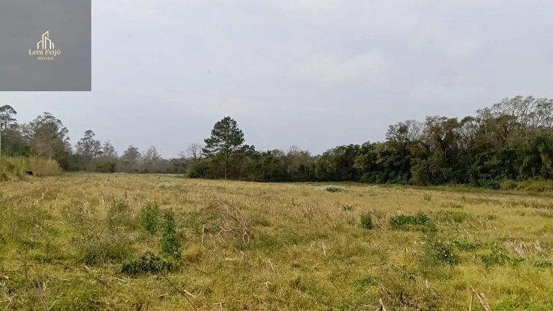 ÁREA PRODUTIVA DE 13 HECTARES: 13ª foto da galeria de imagens do imóvel