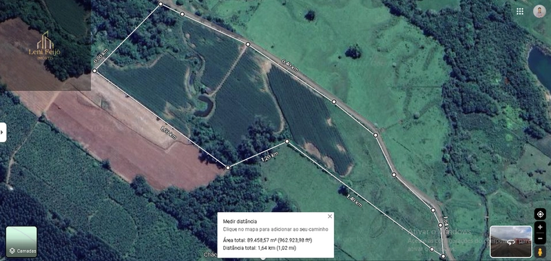 ÁREA PRODUTIVA DE 13 HECTARES: 3ª foto da galeria de imagens do imóvel