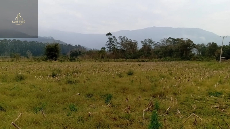 ÁREA PRODUTIVA DE 13 HECTARES: 8ª foto da galeria de imagens do imóvel