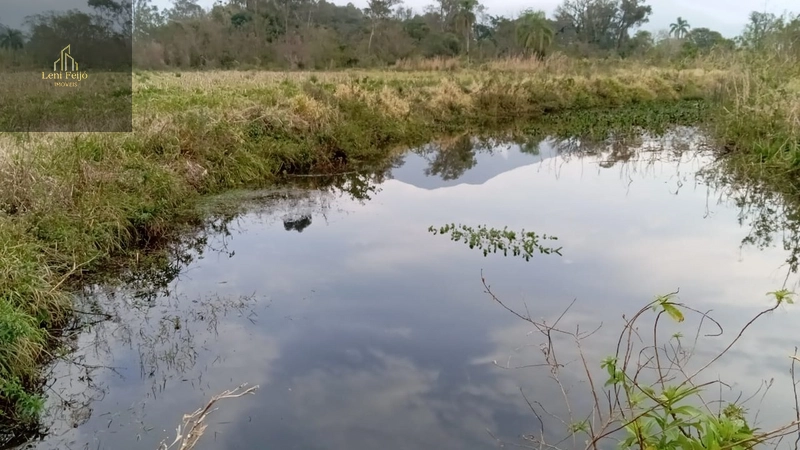 ÁREA PRODUTIVA DE 13 HECTARES: 11ª foto da galeria de imagens do imóvel