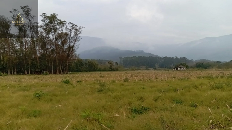ÁREA PRODUTIVA DE 13 HECTARES: 5ª foto da galeria de imagens do imóvel