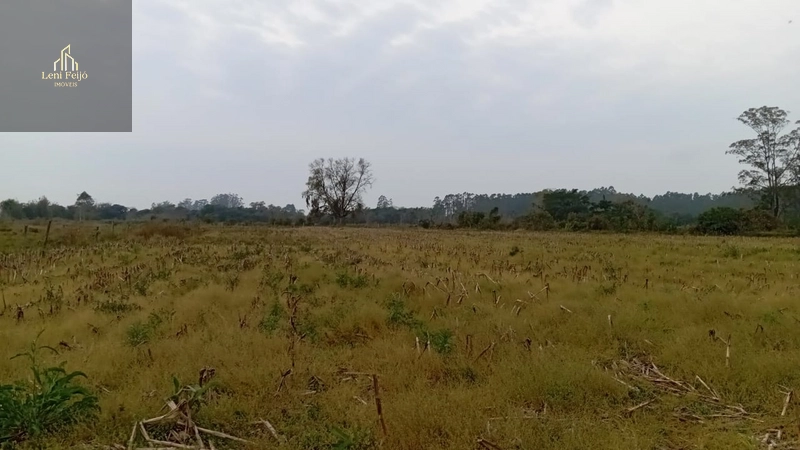 ÁREA PRODUTIVA DE 13 HECTARES: 6ª foto da galeria de imagens do imóvel